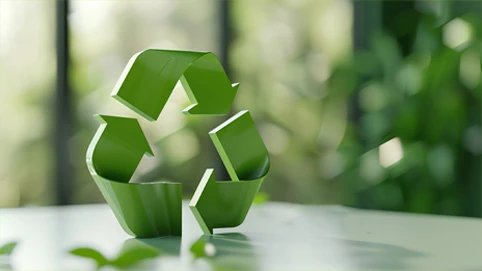 Sustainable Development