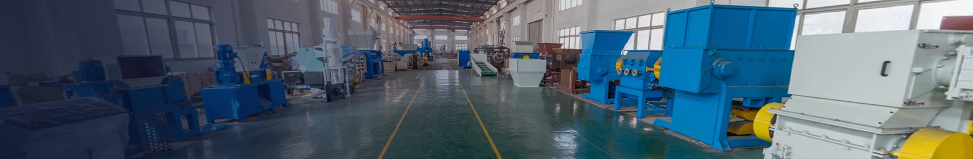 EPS Foam Noodle Pelletizing Machine