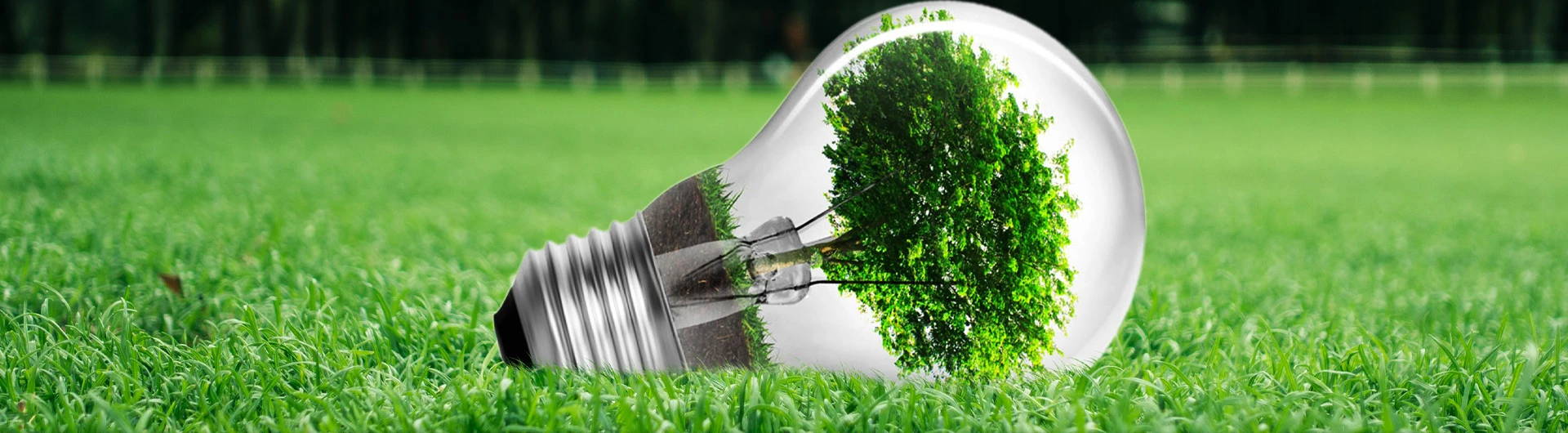 Sustainable Development