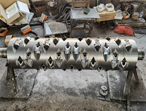 Rotary shaft